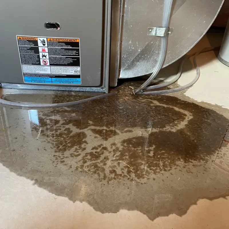 Appliance Leak Cleanup in Sunrise Manor, NV